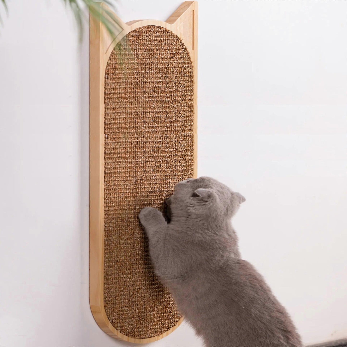 Scratch Pro Board
