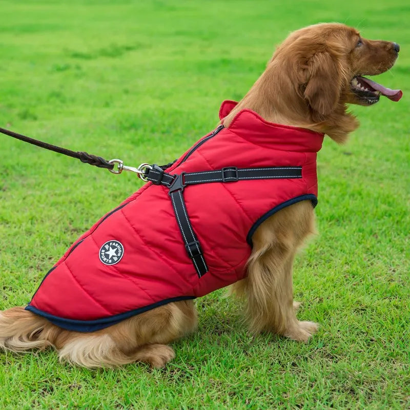 RoyalWarm Coat