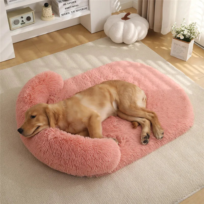 Premium CalmNest 2.0