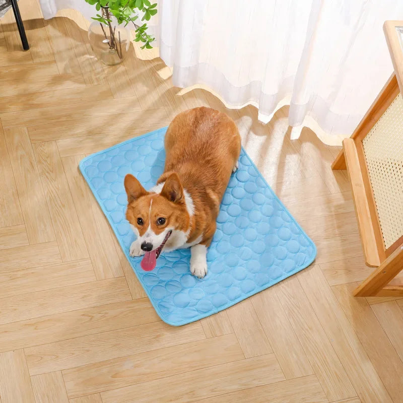 Chill Paws Cooling Mat