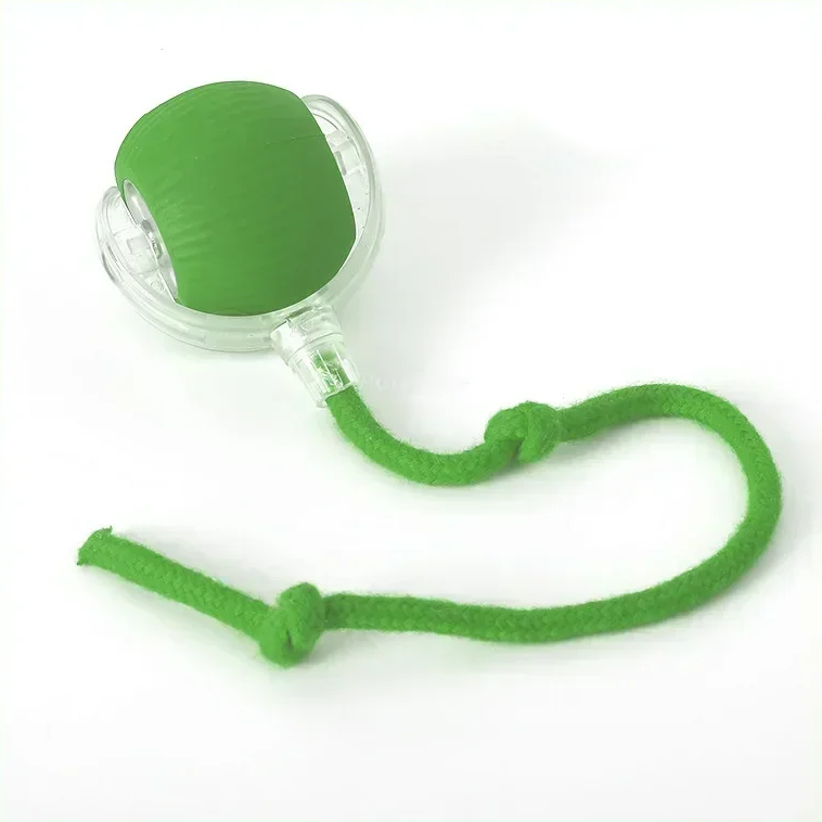 ChaseBuddy Smart Ball