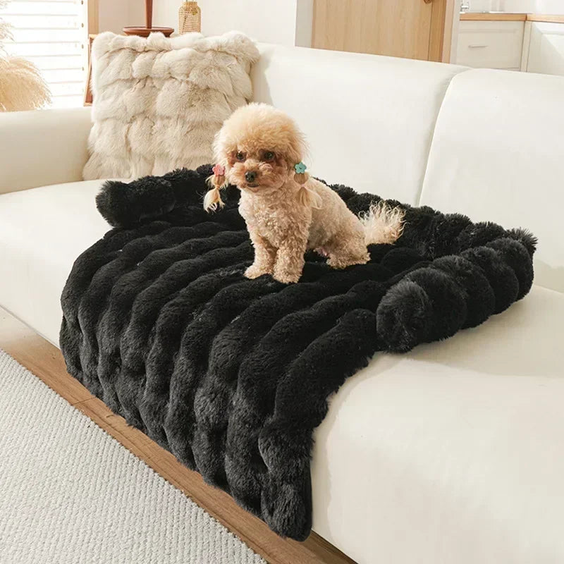 CloudNest Furniture Cover