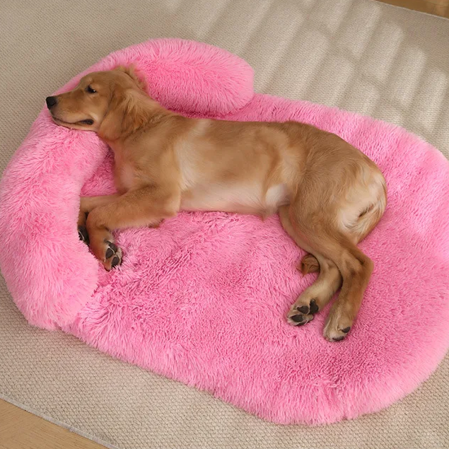 Premium CalmNest 2.0