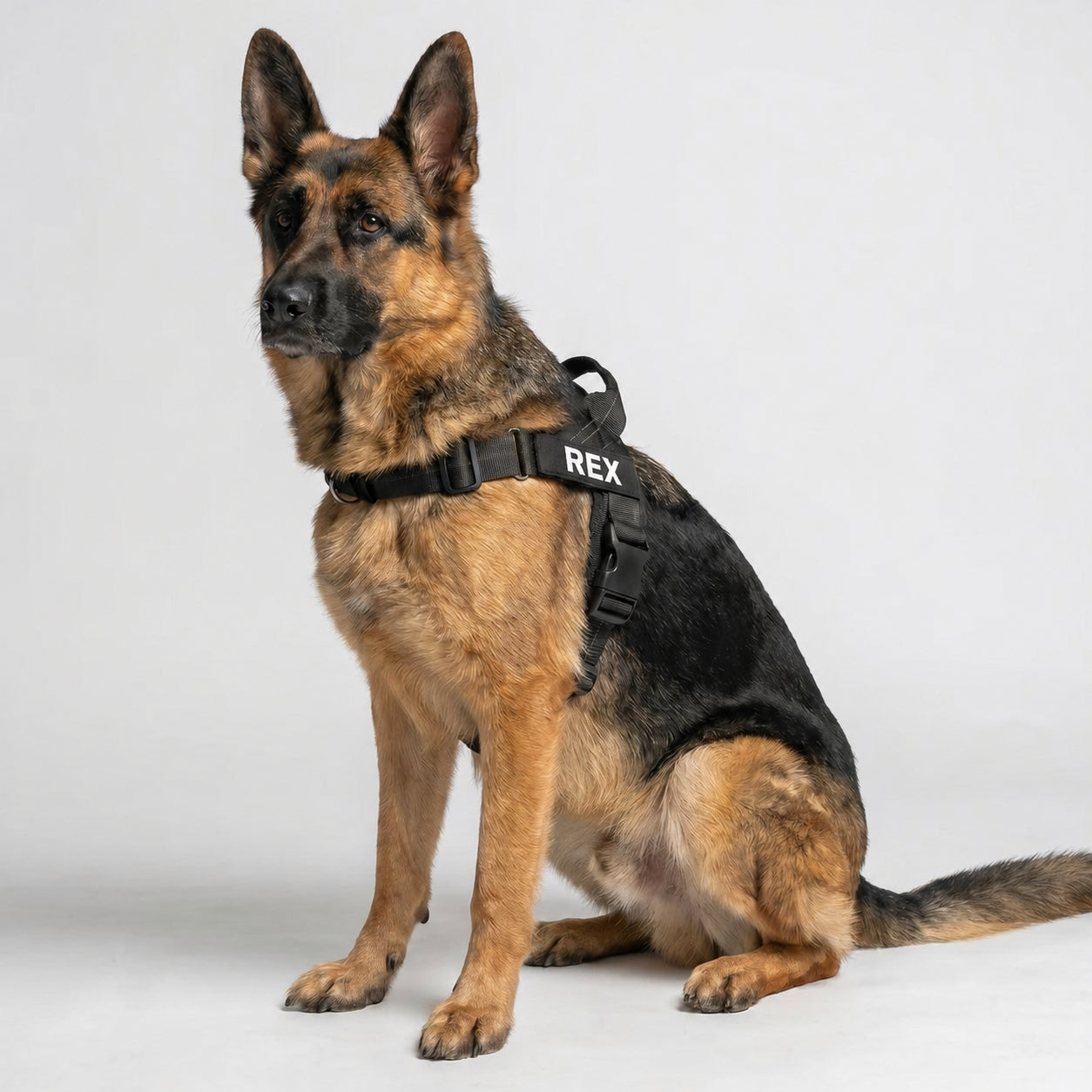 Personalized No-Pull Dog Harness