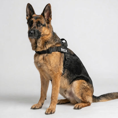 Personalized No-Pull Dog Harness