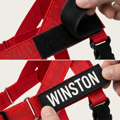 Personalized No-Pull Dog Harness