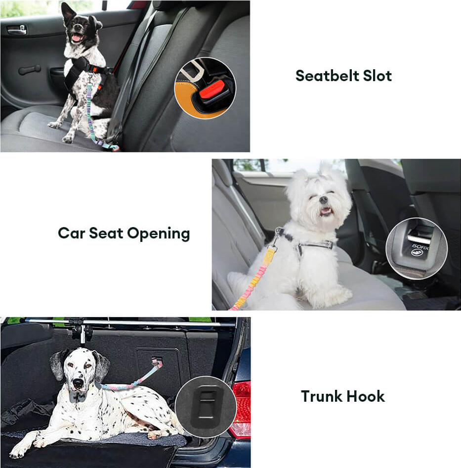 TravelSafe Pet Seat Belt