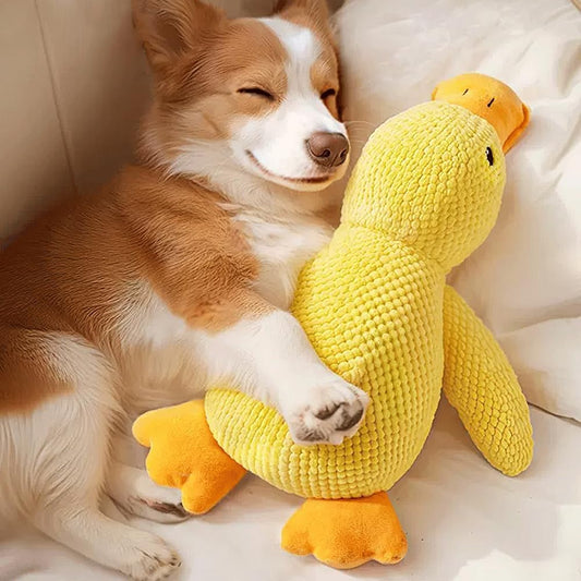 PlushDuckie Toy