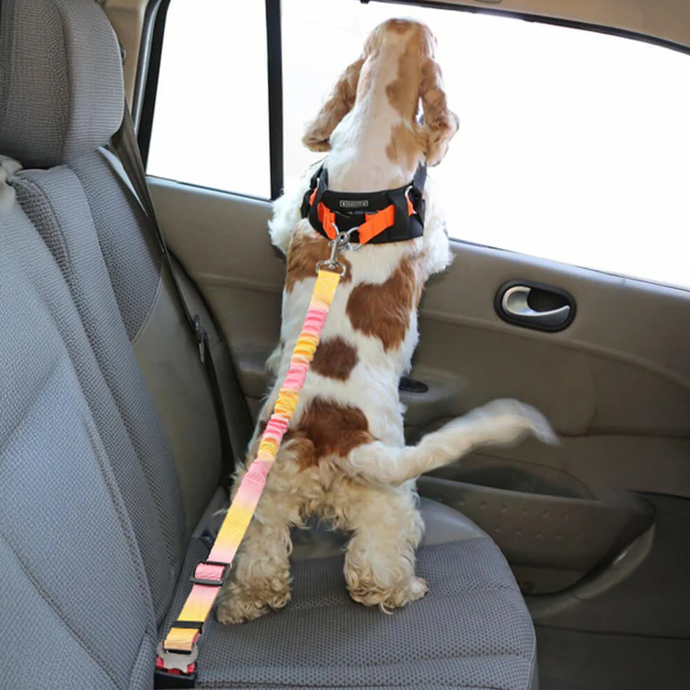 TravelSafe Pet Seat Belt