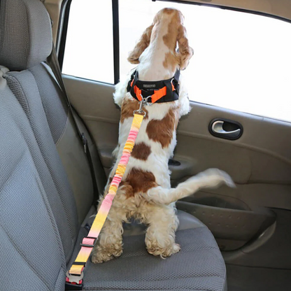 TravelSafe Pet Seat Belt