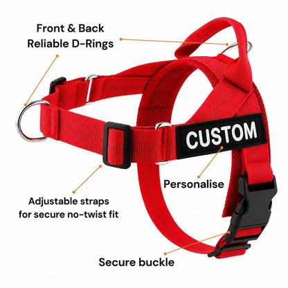 Personalized No-Pull Dog Harness