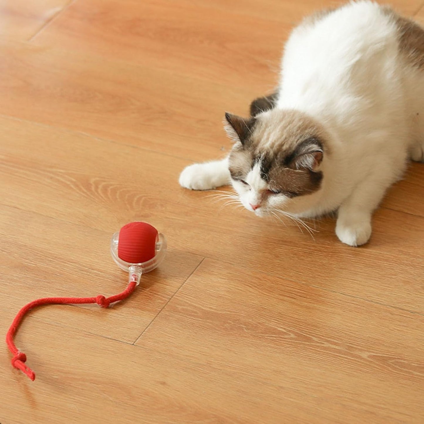 ChaseBuddy Smart Ball