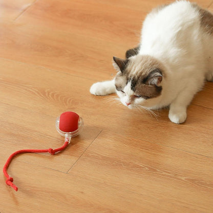 ChaseBuddy Smart Ball