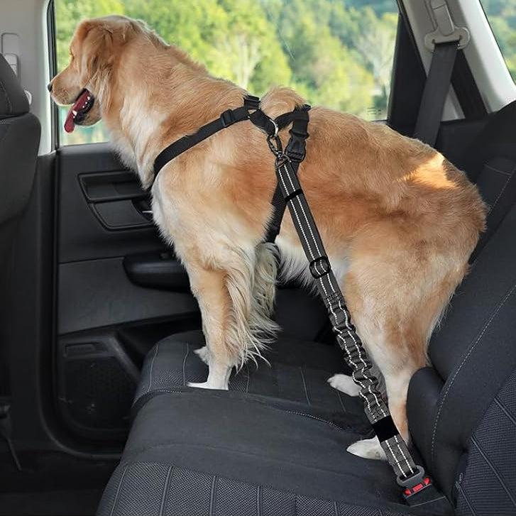 DriveSafe Dog Seat Belt