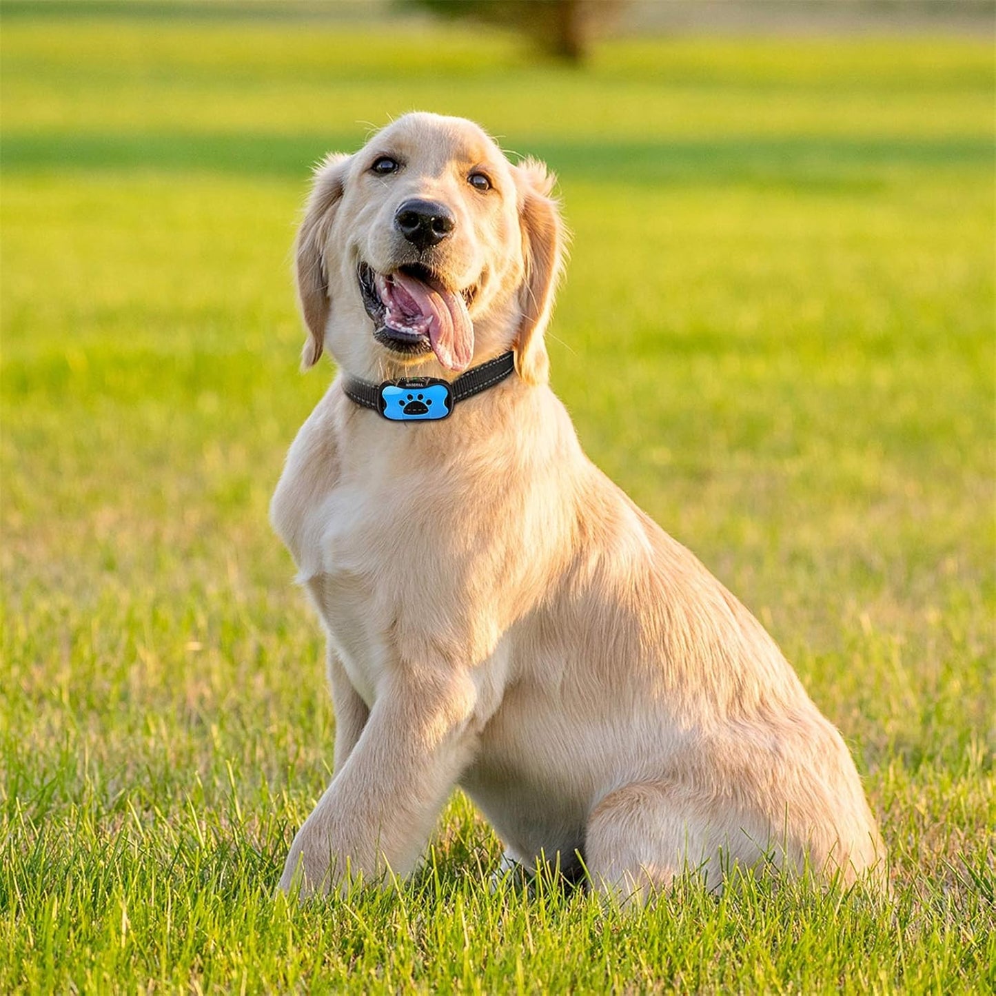 SmartBark - Anti Barking Collar