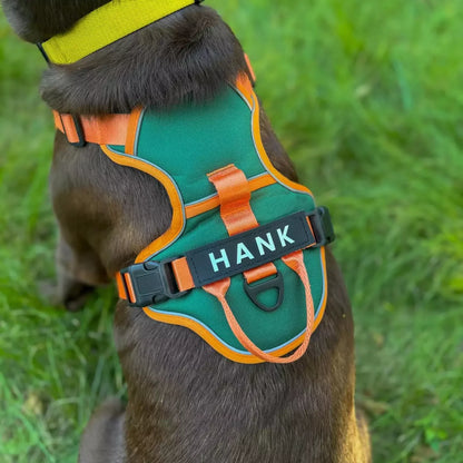 PawFit Personalised Harness