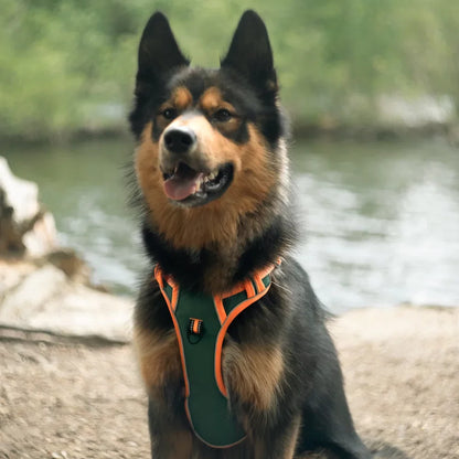 PawFit Personalised Harness