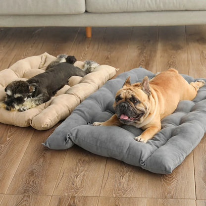 SnuggleNest 3-in-1