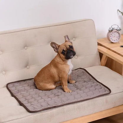Chill Paws Cooling Mat