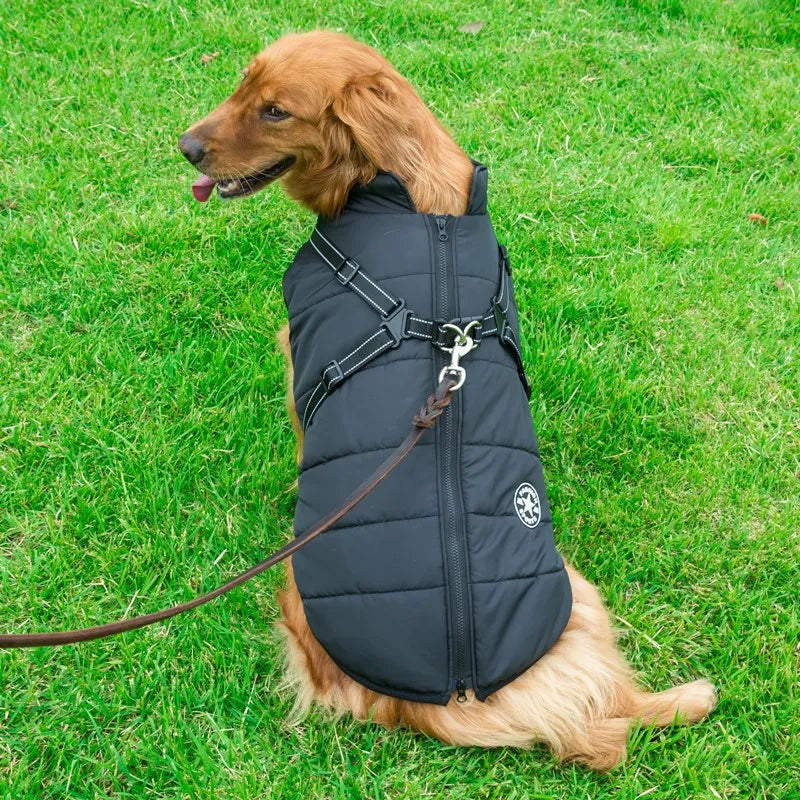 RoyalWarm Coat