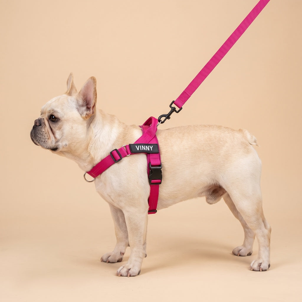 Personalized No-Pull Dog Harness
