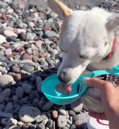 HydraPaw Bottle