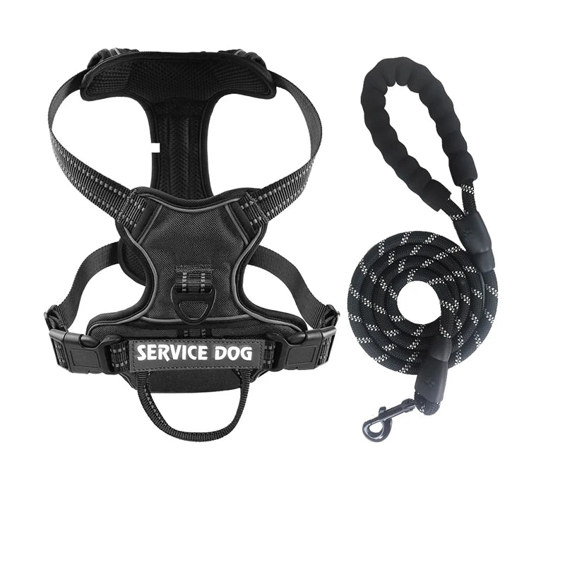 Y-Shape Personalised Harness