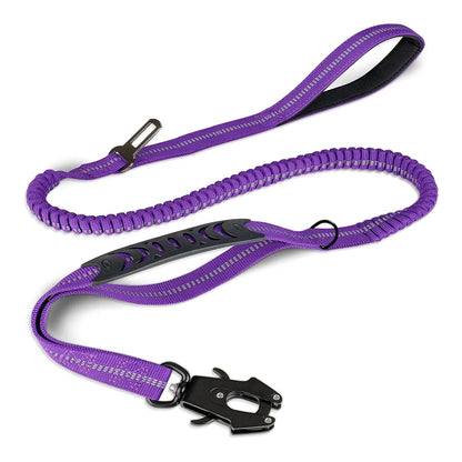 4-in-1 Dog Leash with Car Seat Belt