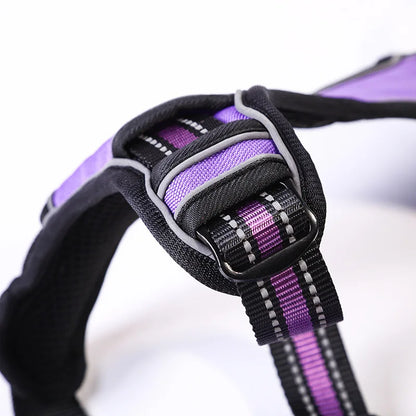 Y-Shape Personalised Harness