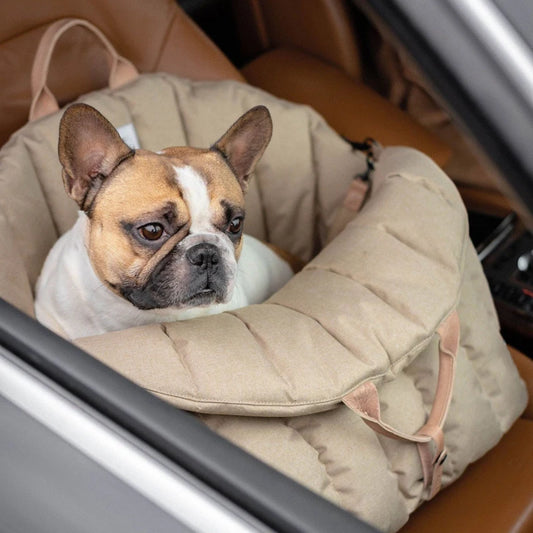 TravelNest Pet Carrier