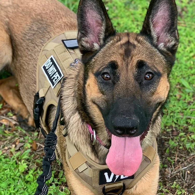 K9 Commando - Tactical Dog Harness & Leash Set