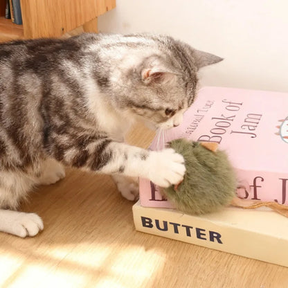 Squeaky Mouse Plush Toy