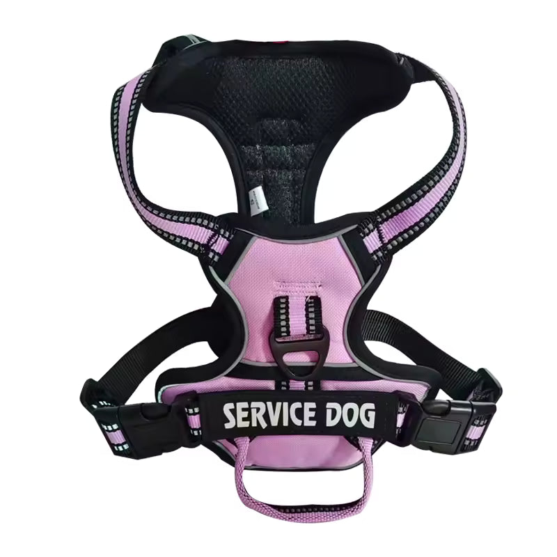 Y-Shape Personalised Harness