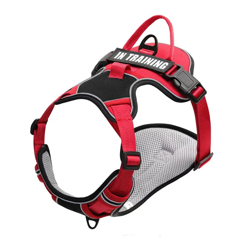 PawFit Personalised Harness