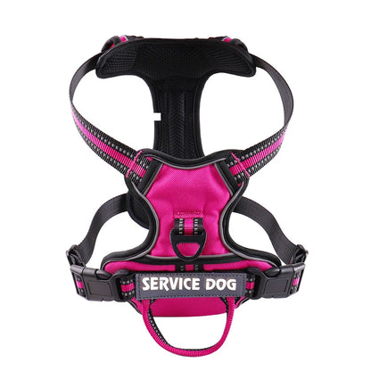 Y-Shape Personalised Harness
