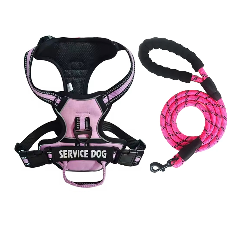 Y-Shape Personalised Harness