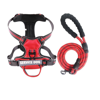 Y-Shape Personalised Harness