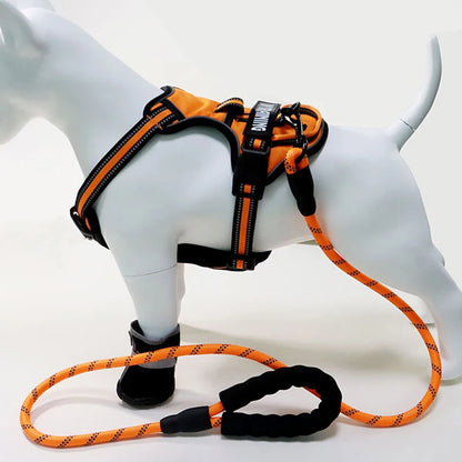 Y-Shape Personalised Harness