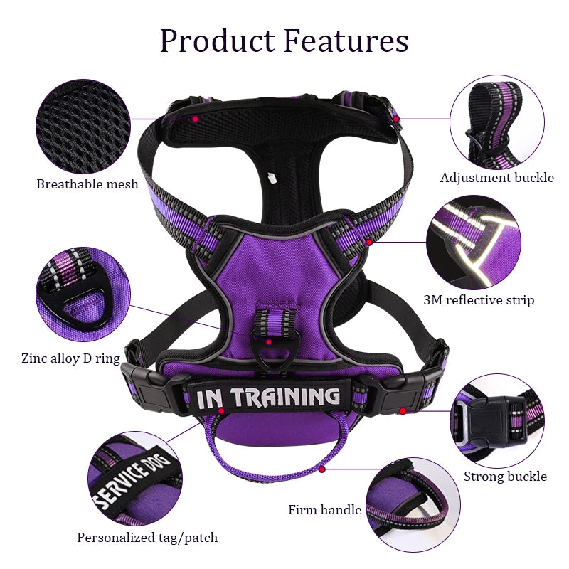 Y-Shape Personalised Harness