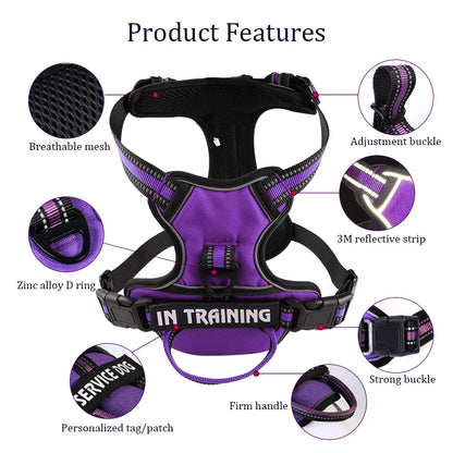 Y-Shape Personalised Harness