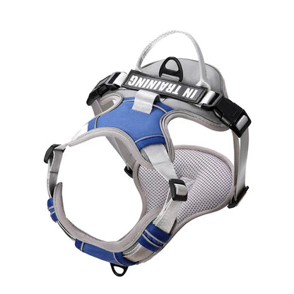 PawFit Personalised Harness