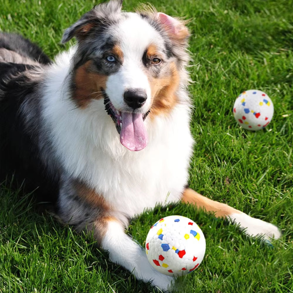 BounceBite Dog Ball
