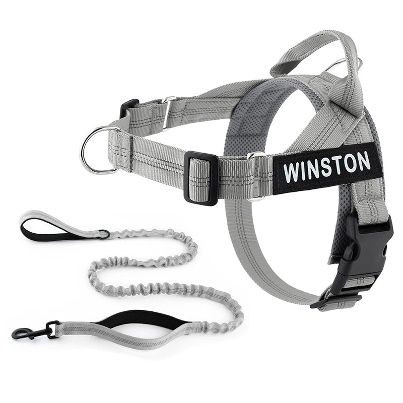 Personalized No-Pull Dog Harness