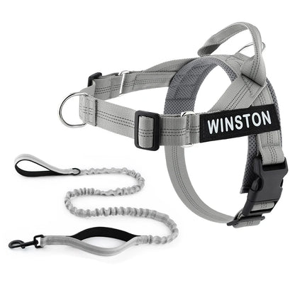 Personalized No-Pull Dog Harness
