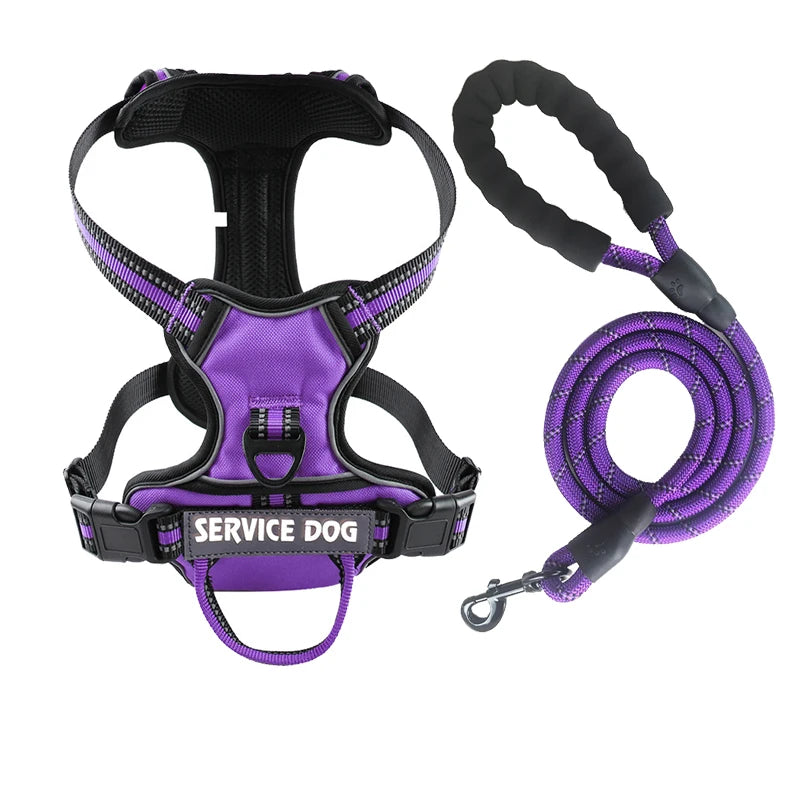 Y-Shape Personalised Harness
