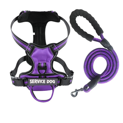 Y-Shape Personalised Harness