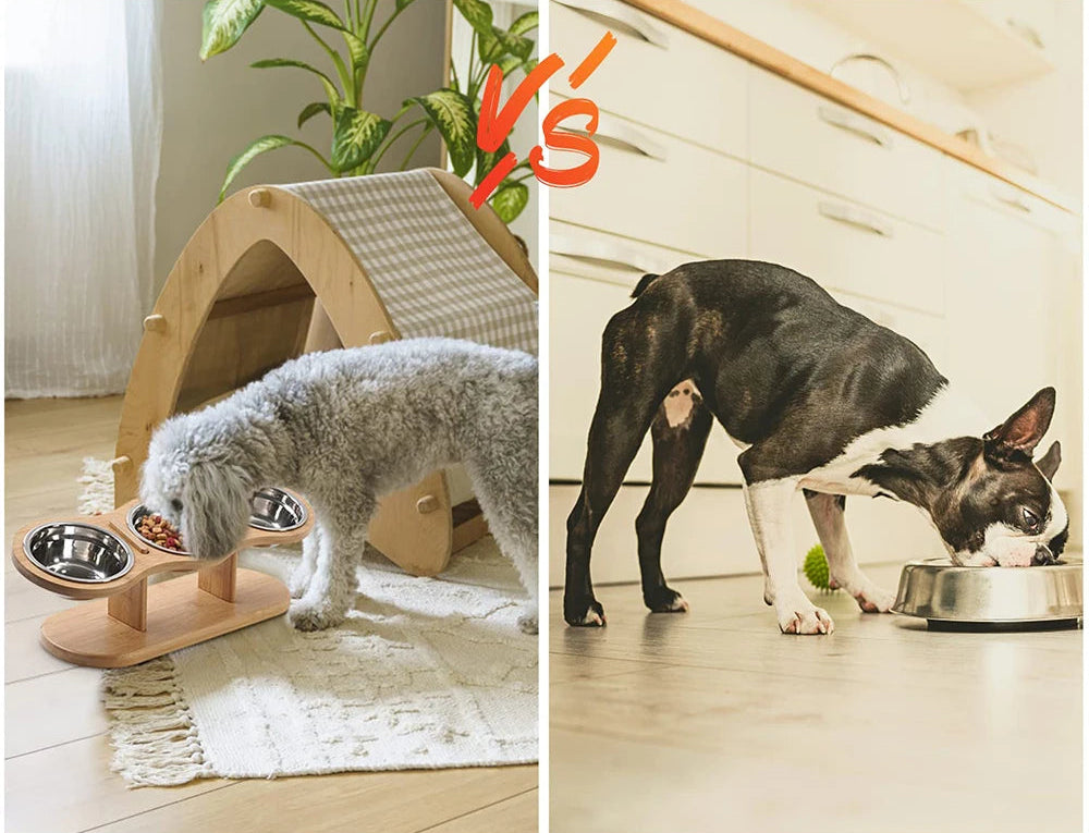 PawTilt Feeding Station
