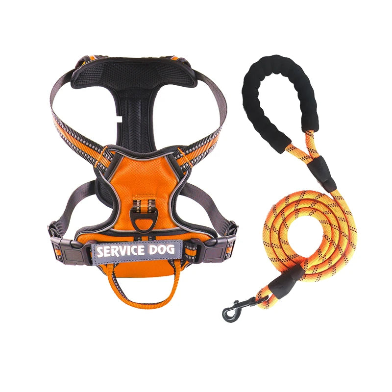 Y-Shape Personalised Harness