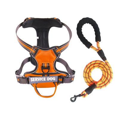 Y-Shape Personalised Harness
