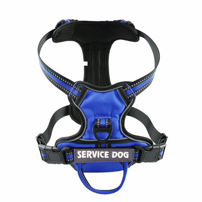 Y-Shape Personalised Harness